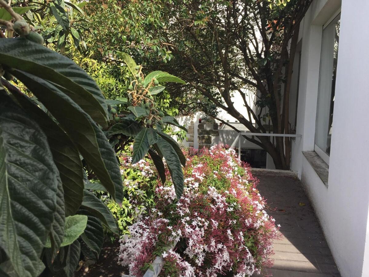 Appartement Amazing Mezzanine House With Garden - Centre